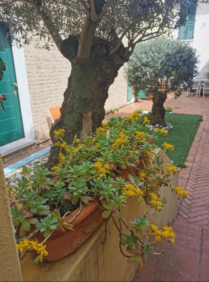 B&B La Chicca Ravenna Eksteriør billede